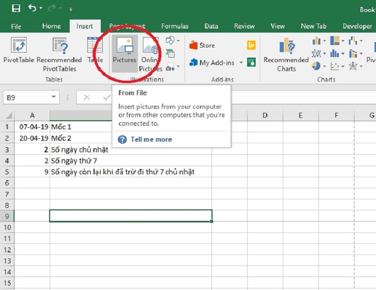 Bạn Đã Biết Chèn Ảnh Vào Một Ô Trong Excel?